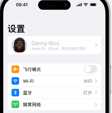 沙湾appleID维修服务iPhone设置中Apple ID显示为灰色无法使用 