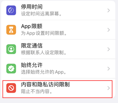 沙湾appleID维修服务iPhone设置中Apple ID显示为灰色无法使用