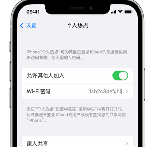 沙湾apple服务站点分享iPhone上个人热点丢失了怎么办