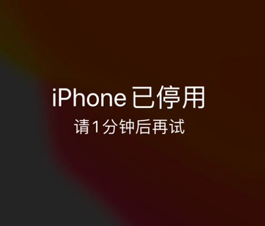 沙湾苹果手机维修分享:iPhone 显示“不可用”或“已停用”怎么办？还能保留数据吗？ 