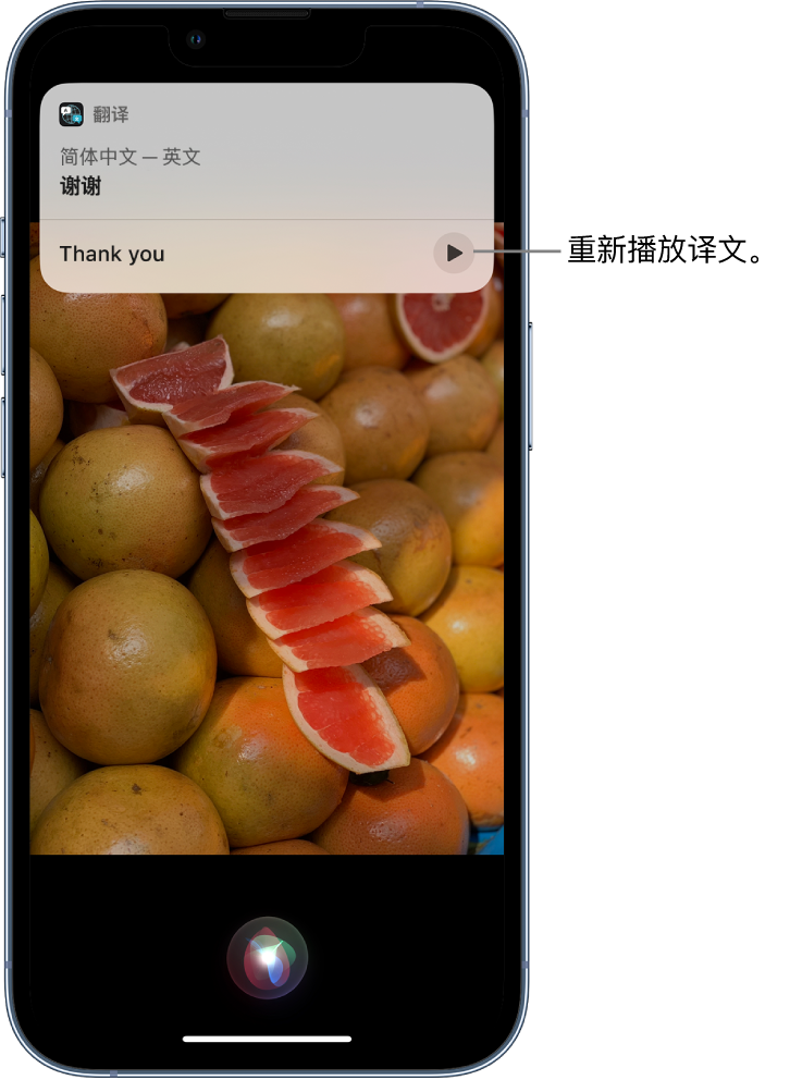 沙湾苹果14维修分享 iPhone 14 机型中使用 Siri：了解 Siri 能帮你做什么 