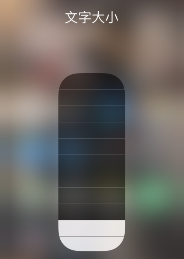 沙湾苹果手机维修分享小技巧：在 iPhone 控制中心快速调节字体大小 