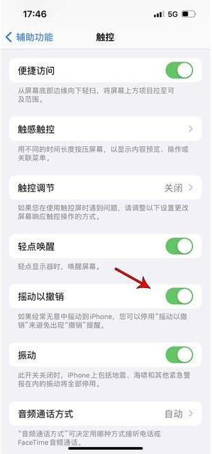 沙湾苹果手机维修分享iPhone手机如何设置摇一摇删除文字 